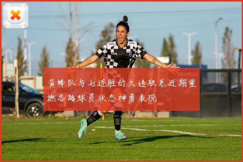 黄蜂队与七连胜的久违联系近期重燃各路球员状态神勇表现