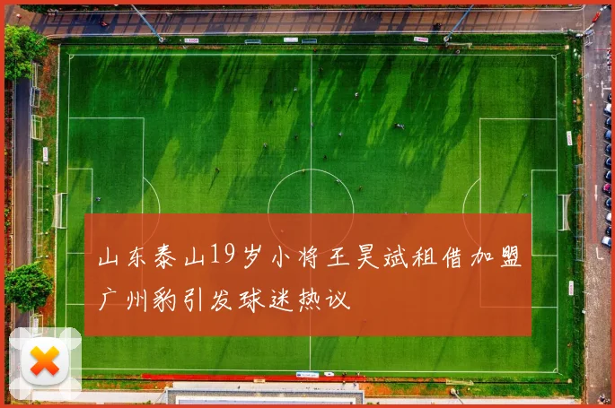 山东泰山19岁小将王昊斌租借加盟广州豹引发球迷热议