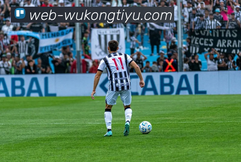 悟空体育APP 封面图